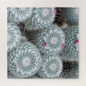 Tiny Pink Flowers Cactus Planten Legpuzzel (Horizontaal)