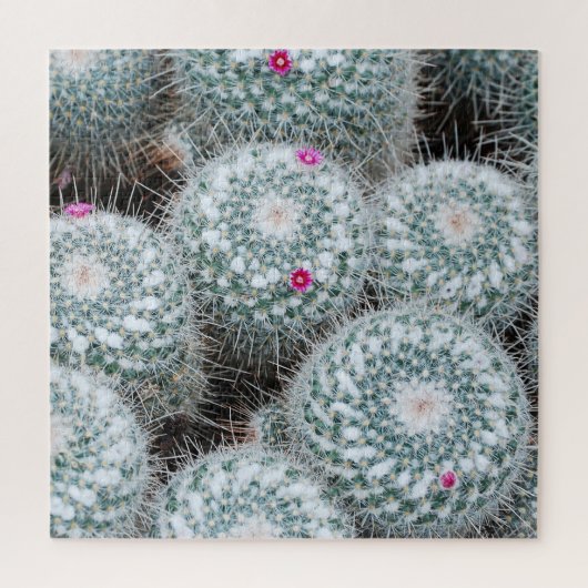 Tiny Pink Flowers Cactus Planten Legpuzzel (Verticaal)