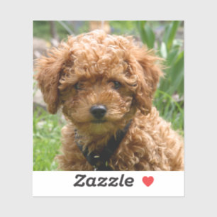 Tiny Red Speelgoed Poodle Puppy Stickers