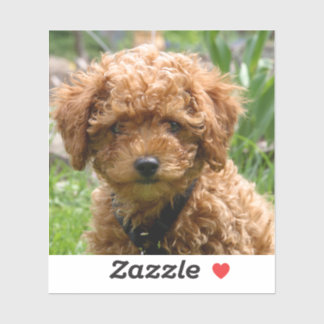 Tiny Red Speelgoed Poodle Puppy Stickers