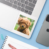 Tiny Red Speelgoed Poodle Puppy Stickers (Laptop met iPhone)