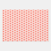 Tiny Scribled Daisies Rustieke grillige rode roze Inpakpapier Vel (Voorkant 2)