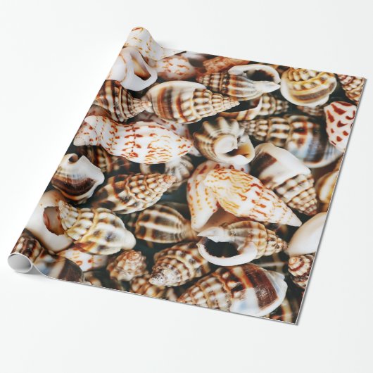 Tiny Seashells Cadeaupapier (Uitgerold)