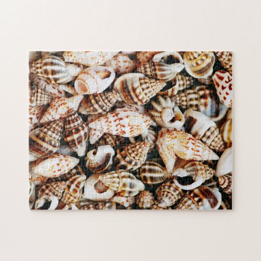 Tiny Seashells Legpuzzel (Horizontaal)
