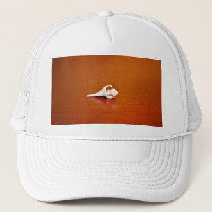 Tiny Shell Trucker Pet