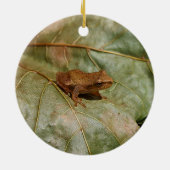 Tiny Toad Keramisch Ornament (Achterkant)