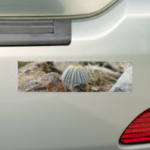 Tiny Toadstool Bumpersticker (Op auto)