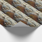 Tiny Toadstool Cadeaupapier (Hoek)