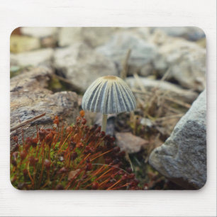Tiny Toadstool Muismat