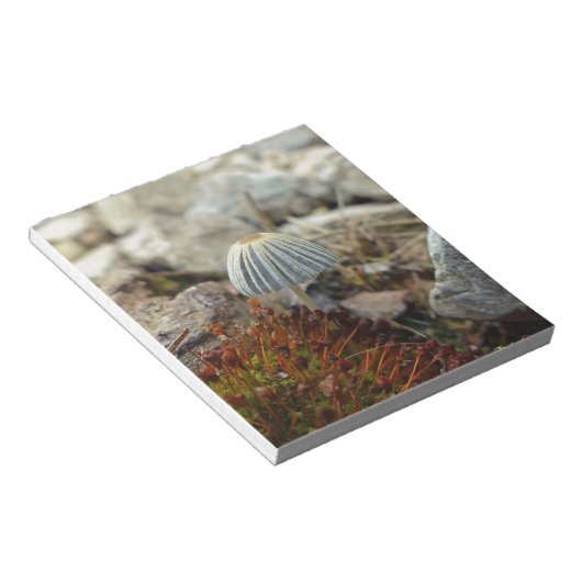 Tiny Toadstool Notitieblok (Schuin)
