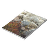 Tiny Toadstool Notitieblok (Gedraaid)