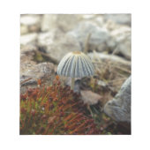 Tiny Toadstool Notitieblok (Voorkant)