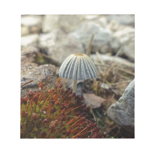 Tiny Toadstool Notitieblok (Voorkant)
