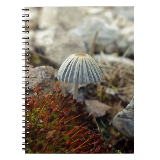 Tiny Toadstool Notitieboek (Voorkant)