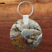 Tiny Toadstool Sleutelhanger (Voorkant)