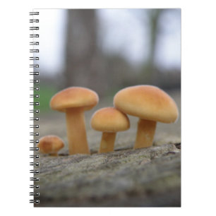 Tiny Toadstools macro Notitieboek