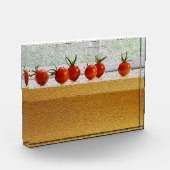 Tiny Tomaten Fotoblok (Links)