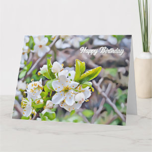 Tiny White Blossoms - Verjaardag Kaart