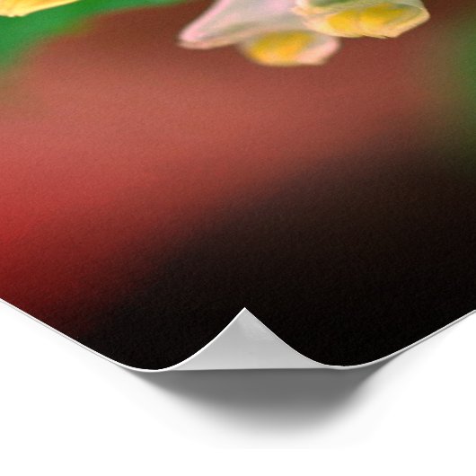 Tiny White Wildflower Close Up Mirror Abstract Poster (Hoek)