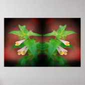 Tiny White Wildflower Close Up Mirror Abstract Poster (Voorkant)