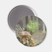 Tiny Wild Mushroom Magneet (Voorkant / Achterkant)