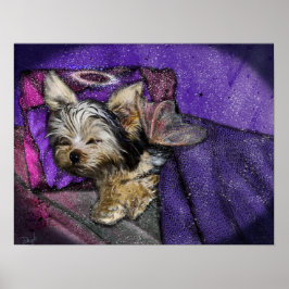 Tiny Yorkie Sleeping Angel Wings & Halo Poster