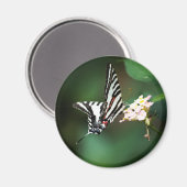 Tiny Zebra Magnet Magneet (Voorkant / Achterkant)