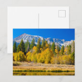 Tioga Pass Yosemite National Park Briefkaart (Voorkant / Achterkant)