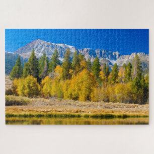 Tioga Pass Yosemite National Park Legpuzzel