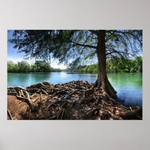 Tip van RedBud Isle op LadyBird Lake - Austin TX Poster