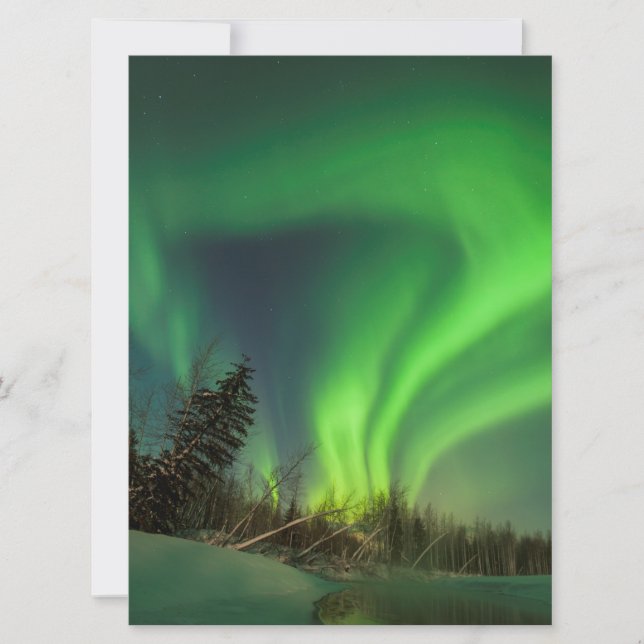 Tipping Spruce Aurora (Voorkant)