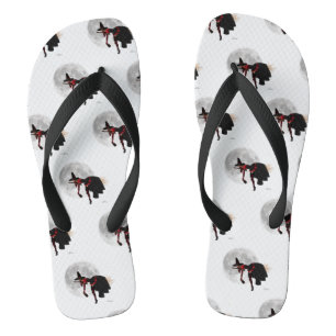 Tipsy heks op vliegende Teenslippers