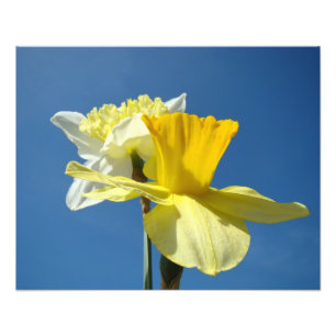 Tirages d'art de photographie fine de printemps Jo