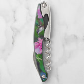 tire-bouchon Rubis-throated de colibri (Dos)