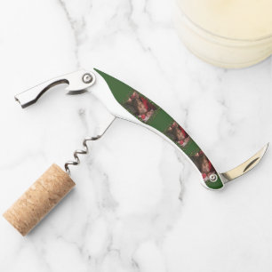 Tire-bouchon torse masculin nu six pack de SlipperyJoe