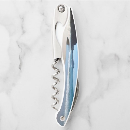 Tire-bouchon Vis en acier inoxydable de plage (Devant)