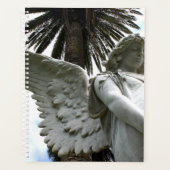 Tiré en paix (Devant)