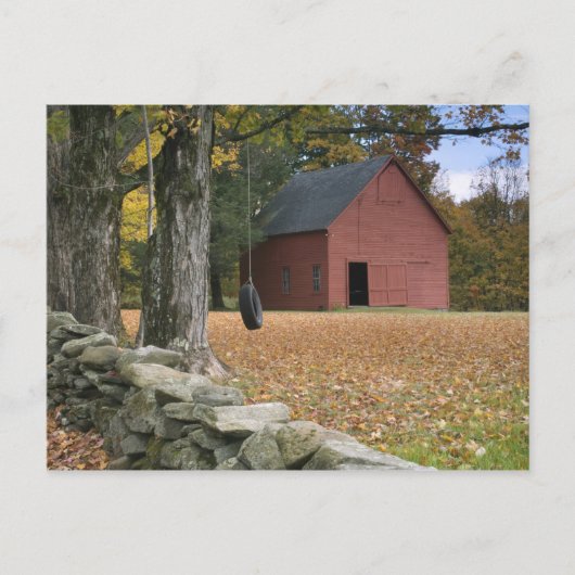 Tire zwaait langs een weg in Zuid-Vermont; Briefkaart (Voorkant)