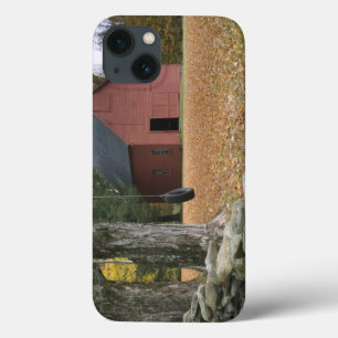 Tire zwaait langs een weg in Zuid-Vermont; iPhone 13 Hoesje