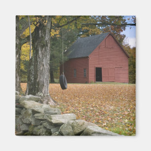 Tire zwaait langs een weg in Zuid-Vermont; Magneet