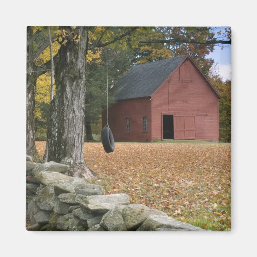 Tire zwaait langs een weg in Zuid-Vermont; Magneet (Voorkant)