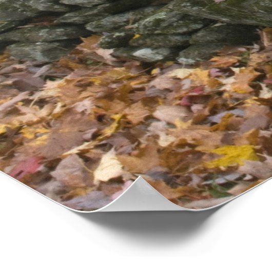 Tire zwaait langs een weg in Zuid-Vermont; Poster (Hoek)