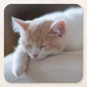 Tired beige en White Kitten Vierkante Kartonnen Onderzetter