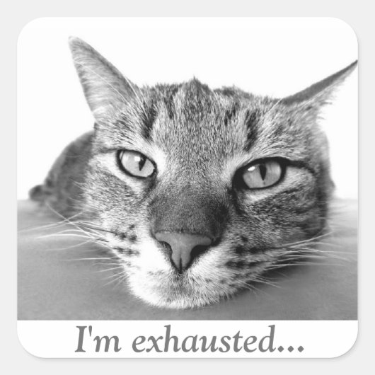 Tired cat vierkante sticker (Voorkant)