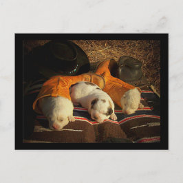 Tired Cowboy Puppies Briefkaart