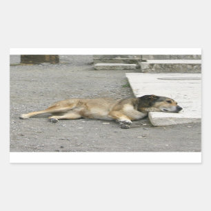 Tired Dog-stickers, aanpassen Rechthoekige Sticker