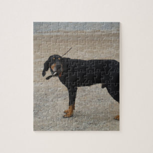 Tired Hunting Dog Legpuzzel