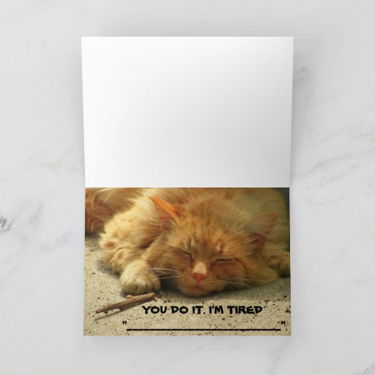 Tired Kat wil dat je zijn kaart afwerkt (Binnen)
