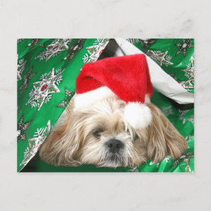 Tired Kerstmis Shih Tzu Feestdagenkaart