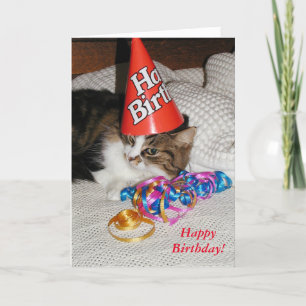 Tired Kitty en Casquette carte d'anniversaire